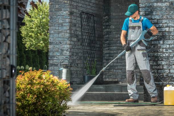 Best Animal Enclosure Cleaning  in Westgate, FL