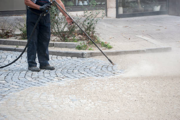 Best Driveway Pressure Washing  in Westgate, FL